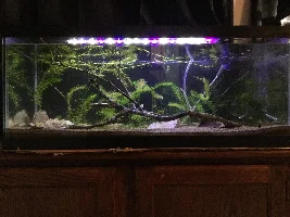 20g long 2.0.