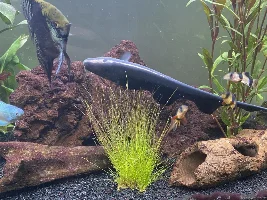 My 182L tank