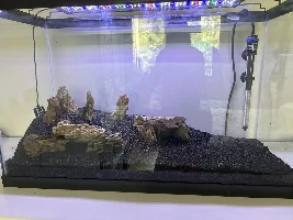 How should I cycle my tank? I need to do it fast!