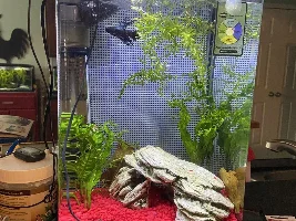 Opinions, Please