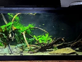 Reintroducing my 20g
