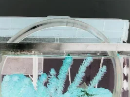 10G Setup