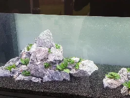 Keeping a Tank Clean