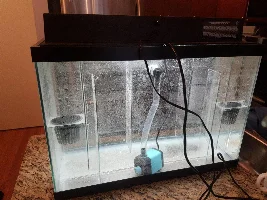 Does anyone use under gravel filters anymore???