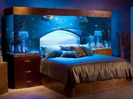 I Want This!