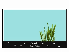 Root tabs or aqua soil?