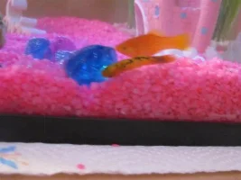 Ill Platy?