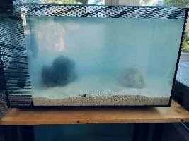 Dipping Into The Salty Side