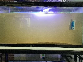 Why is water still cloudy?