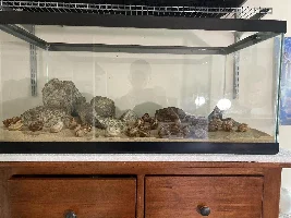 Thoughts on this hard scape?( answers wanted fairly quickly )