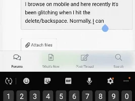 Delete/backspace glitch...