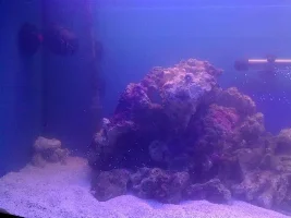 Complete Noobie Exploring Unknown Territories