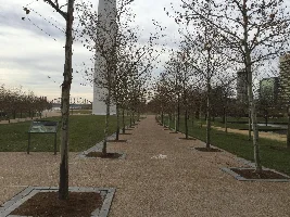 The great Saint Louis Arch!