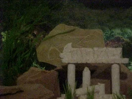 My tank