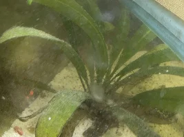 How do I get rid of this now?!
