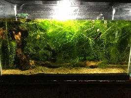New light!