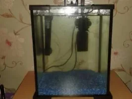 In The Beginning There Was A Tank.....a Small Tank
