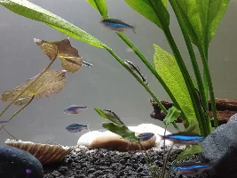 Hello!