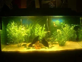What Should I Change?