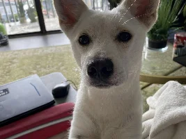 Biofish - March 2022 Pet of the Month Winner