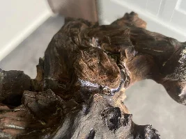 What wood is this.