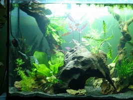 Finally tearing down ugly 57g, building new 36g to replace it!