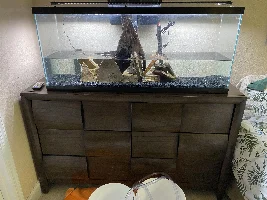 Can this dresser support this 55 gallon