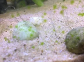 What is this?