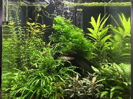 Tanks, Glass boxes and Waterbowls