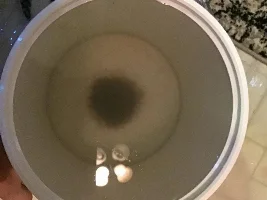New here and new to fish: Any ideas?