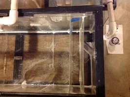 How I'm Building My Refugium.