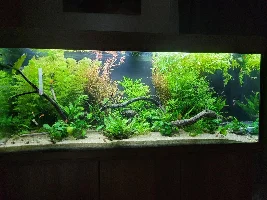 240ltr and 150ltr builds