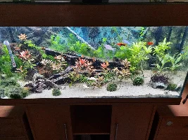 Which brand of black gravel do you use?