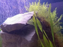 170L, Gotta Start Somewhere