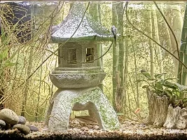 strange structure