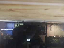 Filtration for an acrylic with a central overflow box.