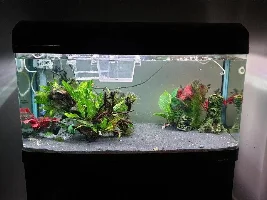 Aquariums