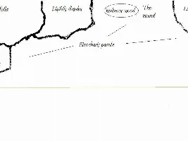 Lowee's 45gal Journal