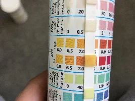 Is this dropsy??