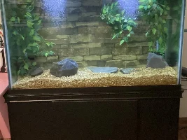 A homemade 110 G tank & stand