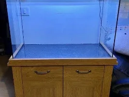 New to tropical fish - seeking some advice