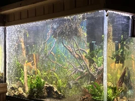 how much difference does the shape of the tank matter to the fish???