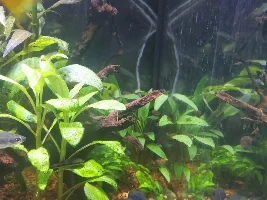 When should I have my co2 on