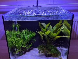 First Aquarium Photos!