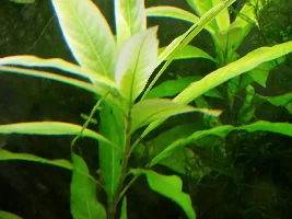 Do I have a lighting problem?