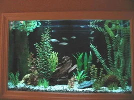 45 gallon in-wall tank