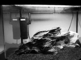 New Tank