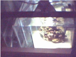 My New Sump