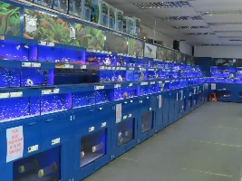 tropical fish shops