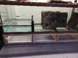 180 gallon Box Turtle Enclosure